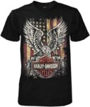 Harley-Davidson Men’s Custom Freedom pic 1
