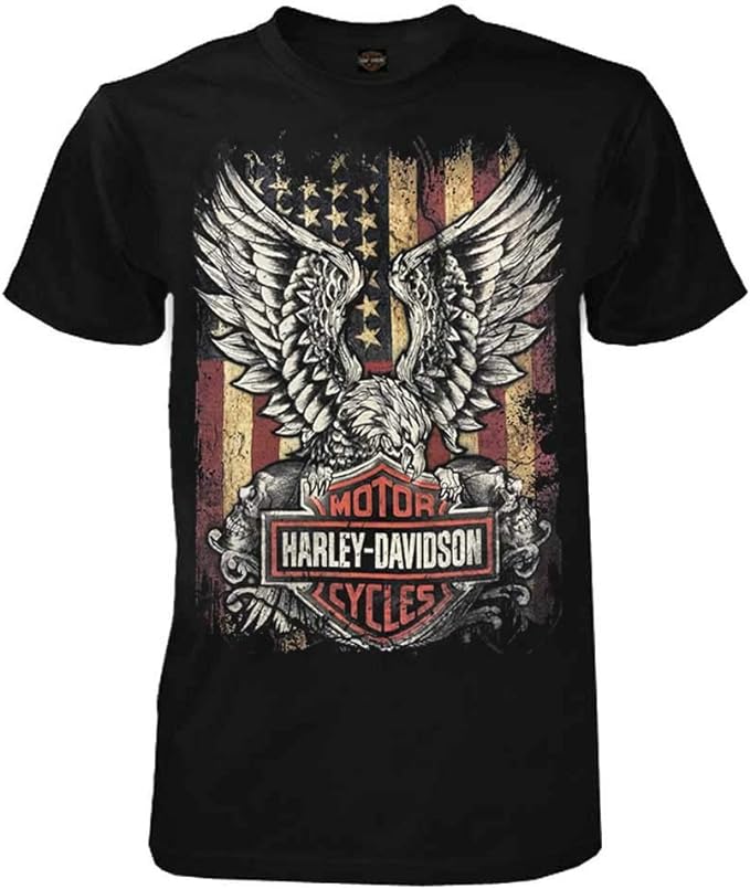 Harley-Davidson - Custom Freedom
